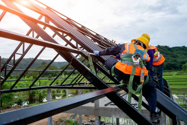 Residential Roof Replacement in Townsend, DE